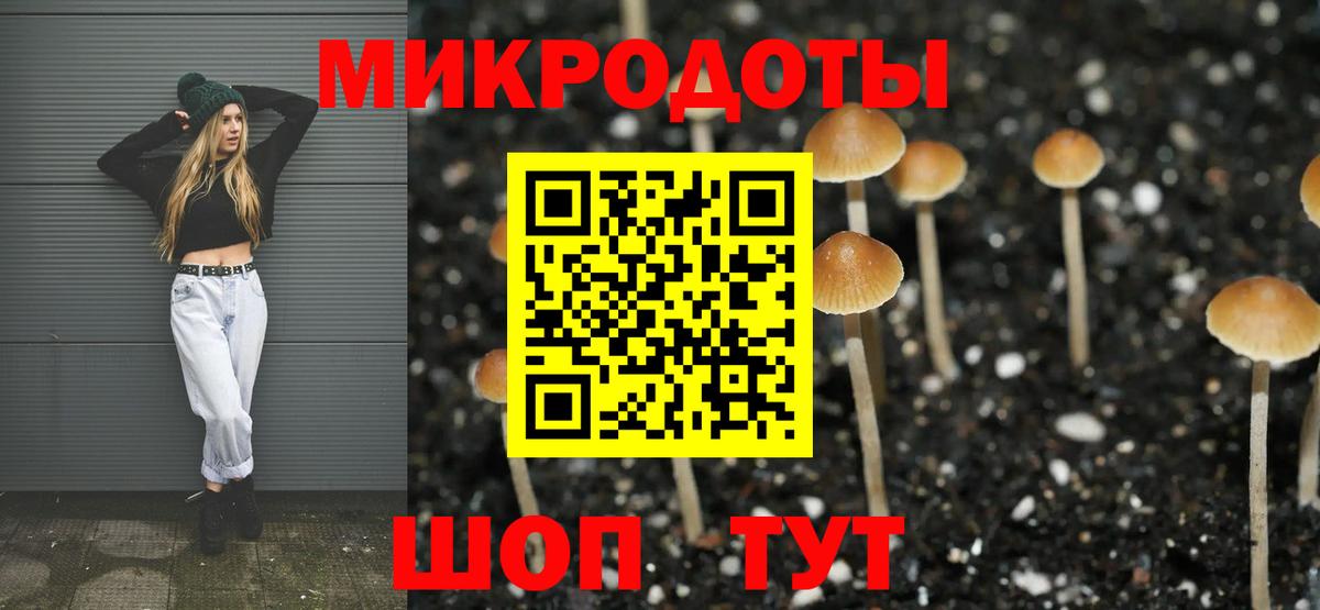 купить закладку  Вход с VPN  Галлюциногенные грибы мухоморы  Воркута  Псилоцибиновые грибы MAGIC MUSHROOMS 